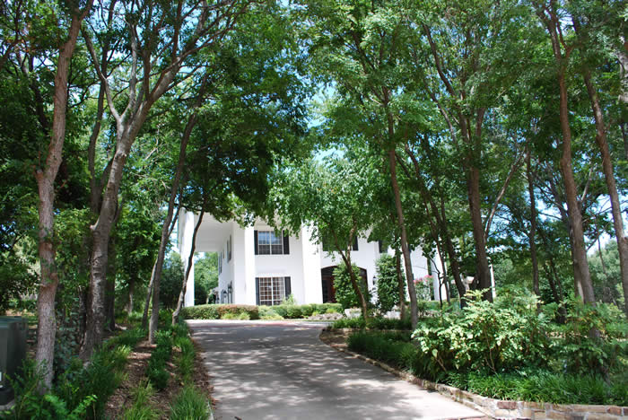 1161 Kempton Park Lane, Fairview, Texas, 75069